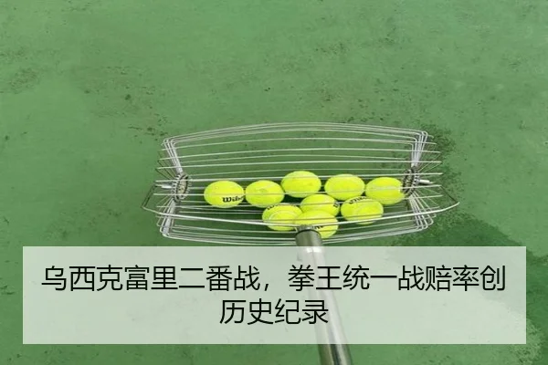 乌西克富里二番战，拳王统一战赔率创历史纪录