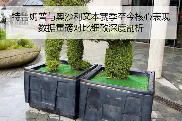 特鲁姆普与奥沙利文本赛季至今核心表现数据重磅对比细致深度剖析