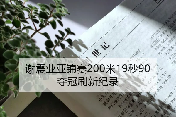 谢震业亚锦赛200米19秒90夺冠刷新纪录