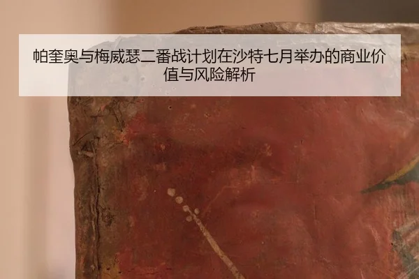 pa-kui-ao-yu-mei-wei-se-er-fan-zhan-ji-hua-zai-sha-te-qi-yue-ju-ban-de-shang-ye-jia-zhi-yu-feng-xian-jie-xi-3-781.jpg
