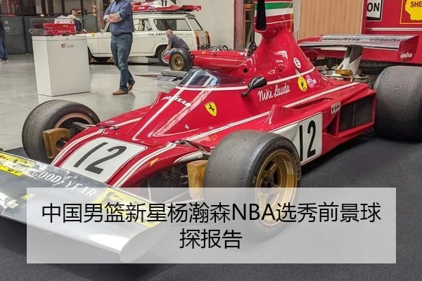 中国男篮新星杨瀚森NBA选秀前景球探报告