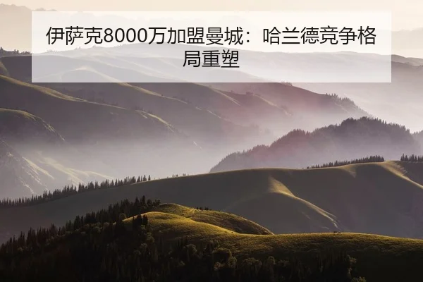 伊萨克8000万加盟曼城：哈兰德竞争格局重塑